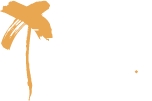 Light & Color